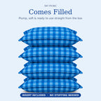 Sky Picnic Cushion