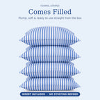 Formal Stripe Cushion